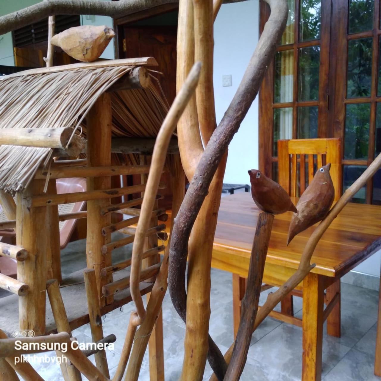 Pasan Guest Bed & Breakfast Ella Exterior foto