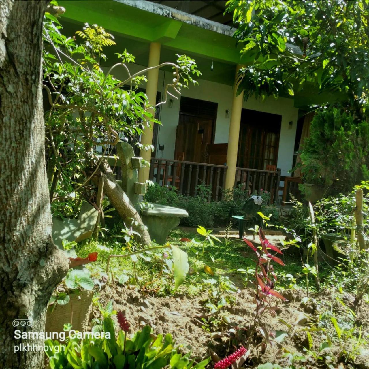 Pasan Guest Bed & Breakfast Ella Exterior foto