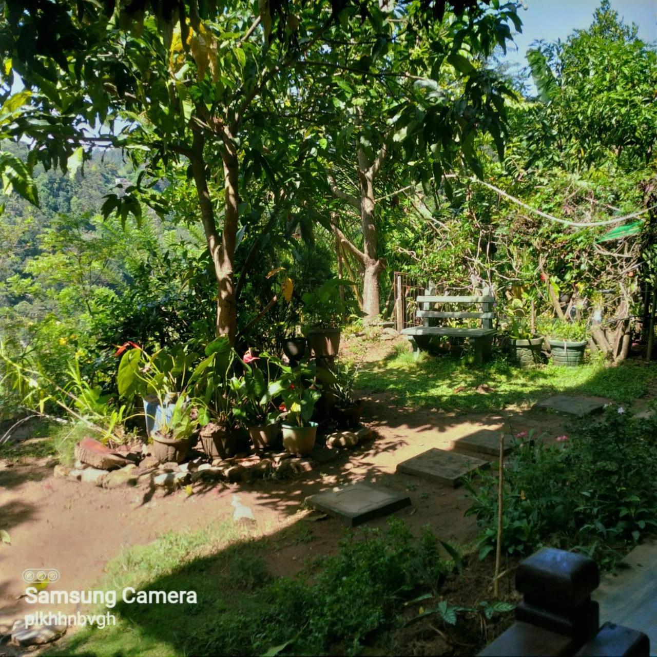 Pasan Guest Bed & Breakfast Ella Exterior foto