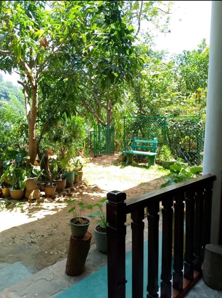 Pasan Guest Bed & Breakfast Ella Exterior foto