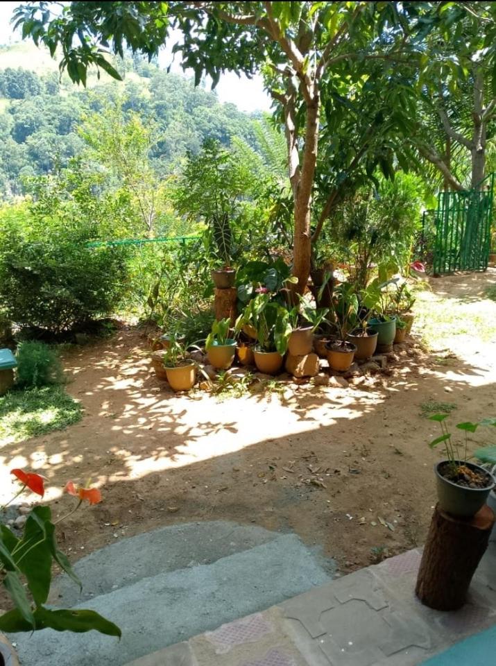 Pasan Guest Bed & Breakfast Ella Exterior foto