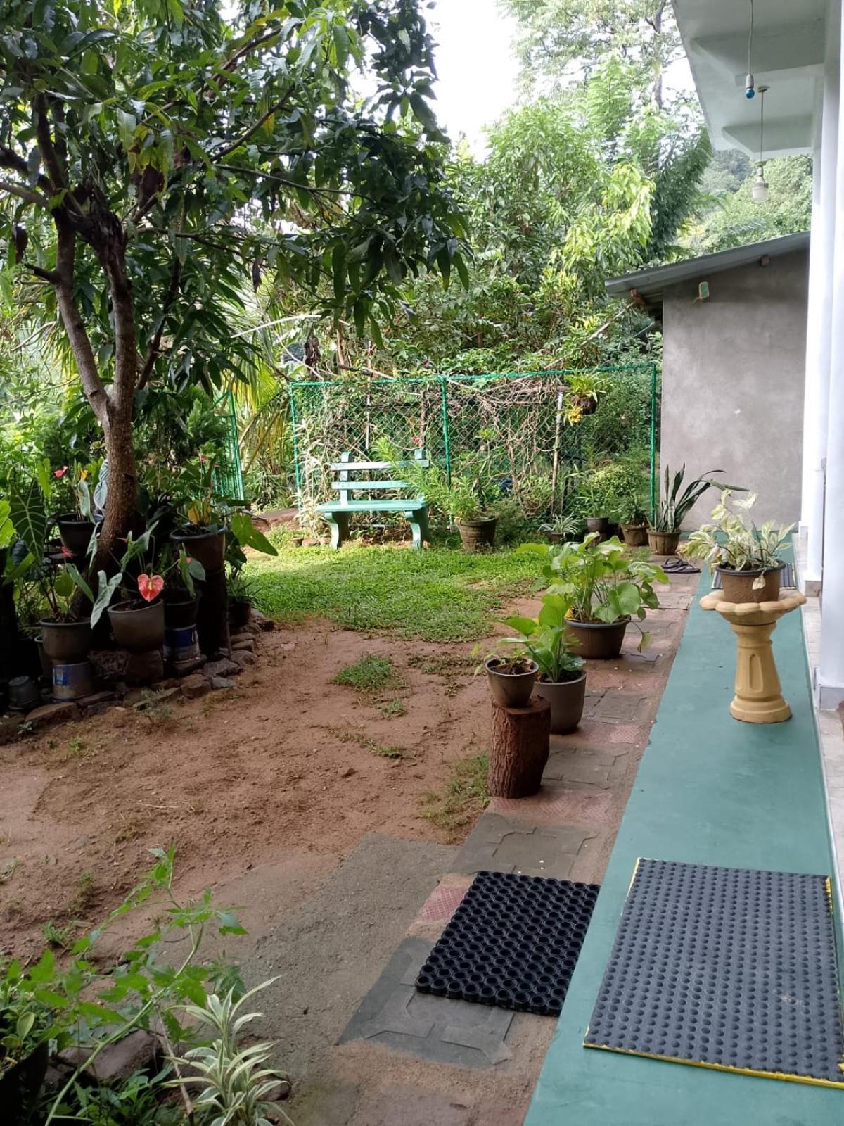Pasan Guest Bed & Breakfast Ella Exterior foto