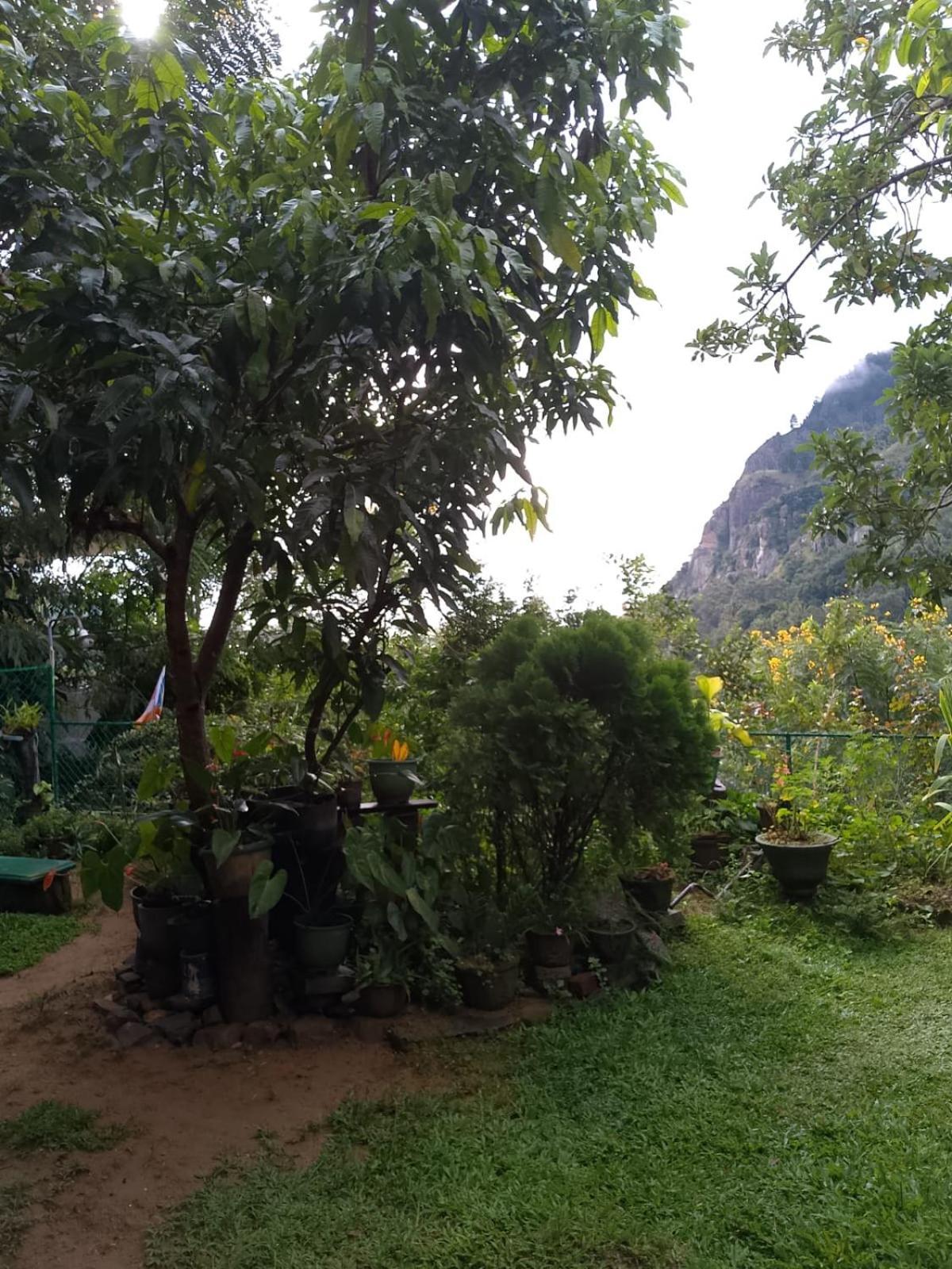 Pasan Guest Bed & Breakfast Ella Exterior foto