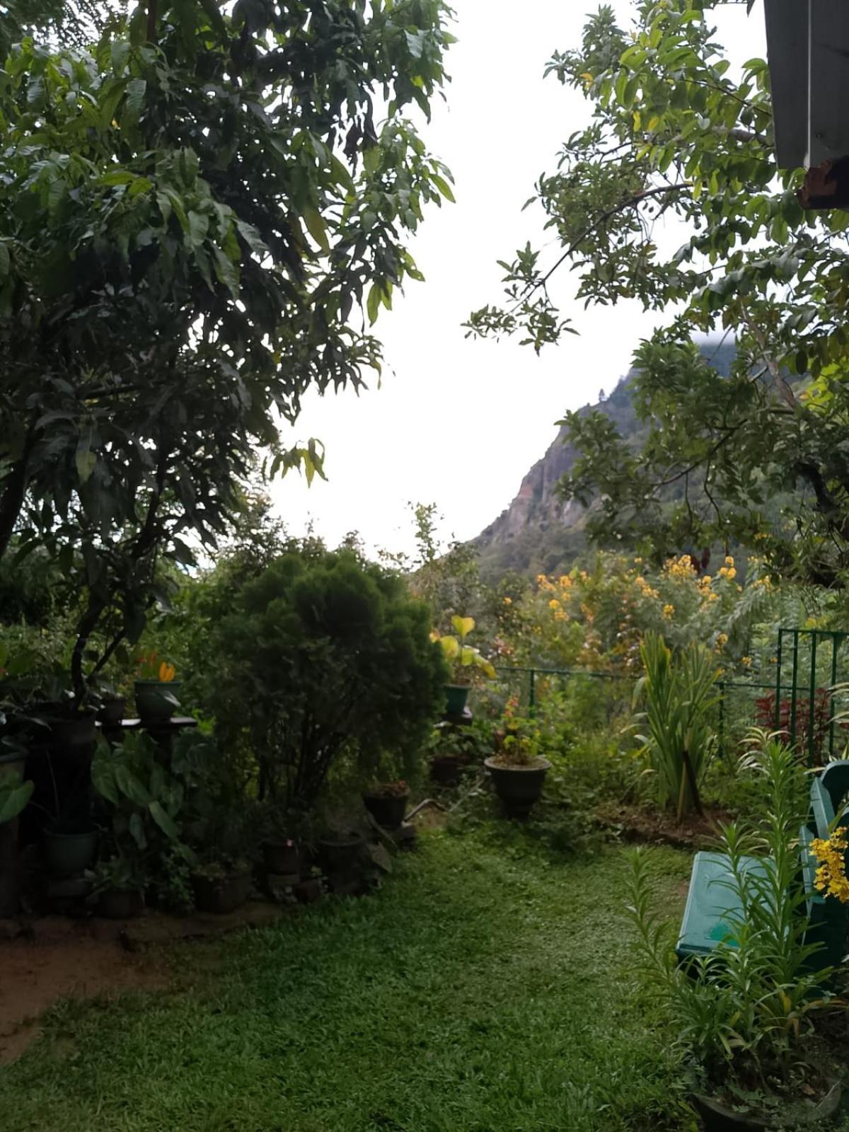 Pasan Guest Bed & Breakfast Ella Exterior foto