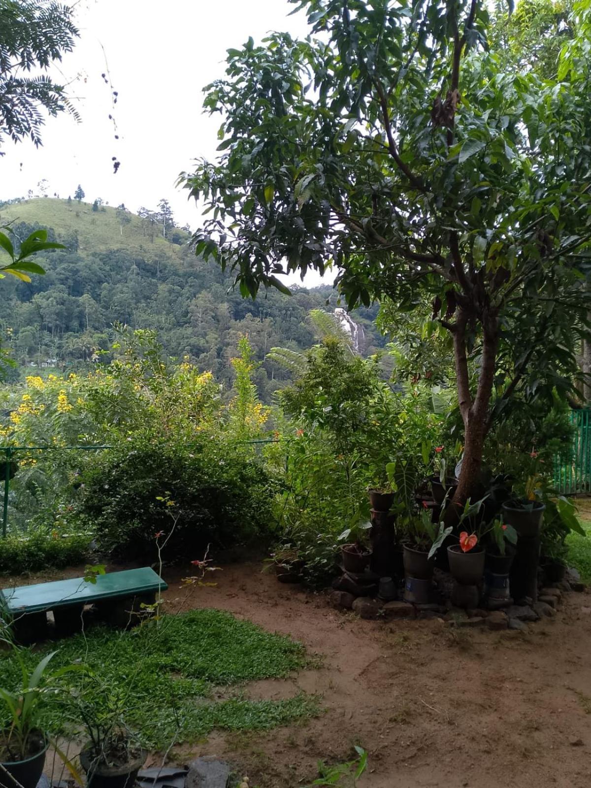 Pasan Guest Bed & Breakfast Ella Exterior foto